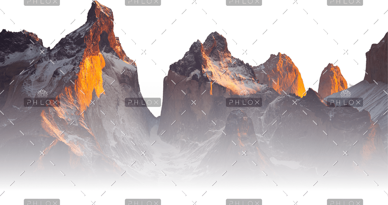 demo-attachment-115-Group-141