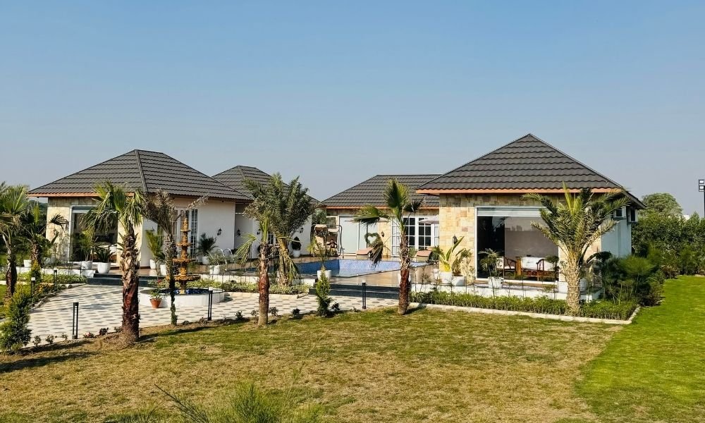 Untitled design (28)